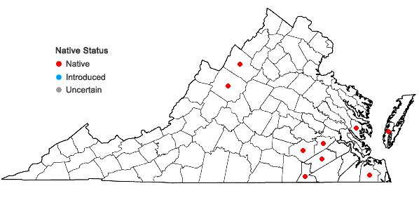 Locations ofAgrostis altissima (Walt.) Tuckerm. in Virginia