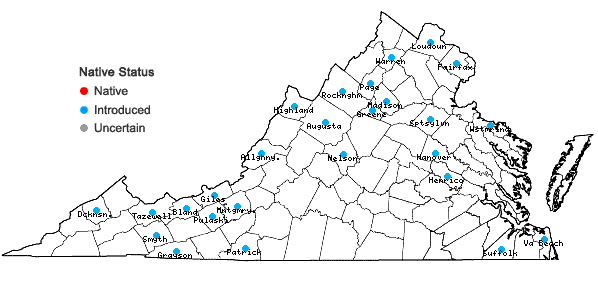 Locations ofAgrostis capillaris L. in Virginia