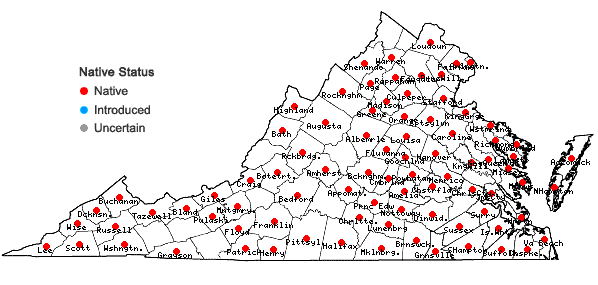 Locations ofAgrostis hyemalis (Walt.) B.S.P. in Virginia