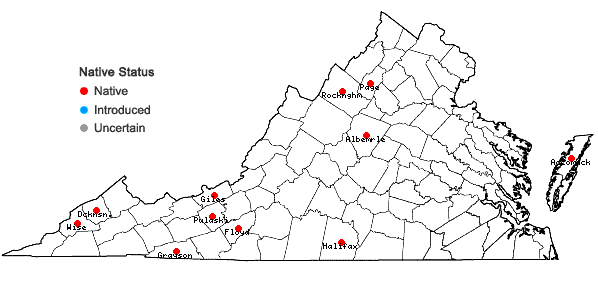 Locations ofAgrostis scabra Willd. in Virginia