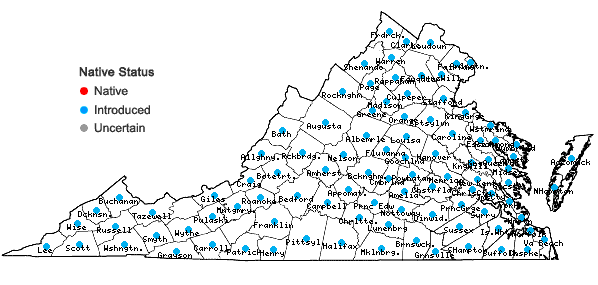 Locations ofAilanthus altissima (P. Miller) Swingle in Virginia