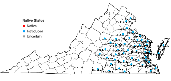 Locations ofAira caryophyllea L. in Virginia