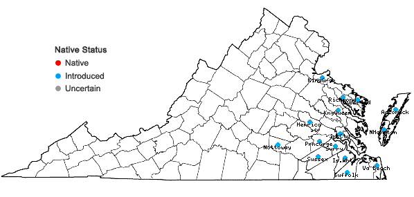 Locations ofAira praecox L. in Virginia