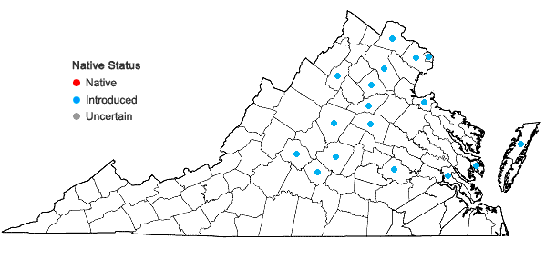 Locations ofAkebia quinata (Houtt.) Dcne. in Virginia