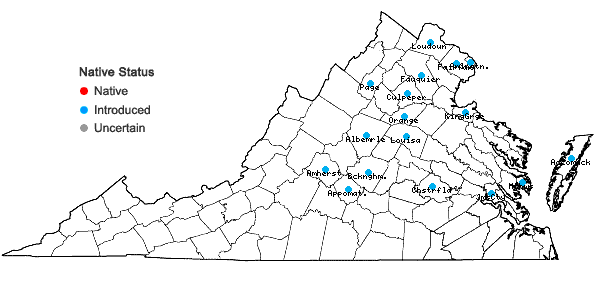 Locations ofAkebia quinata (Houtt.) Dcne. in Virginia