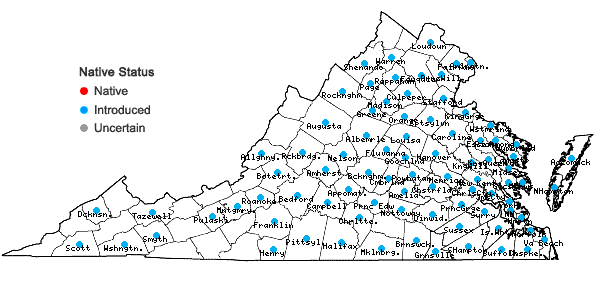 Locations ofAlbizia julibrissin Durazz. in Virginia