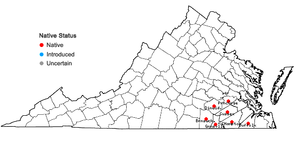 Locations ofAletris aurea Walt. in Virginia