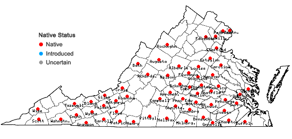 Locations ofAletris farinosa L. in Virginia