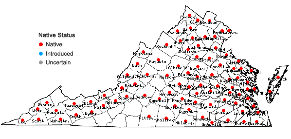 Locations ofAlisma subcordatum Rafinesque in Virginia