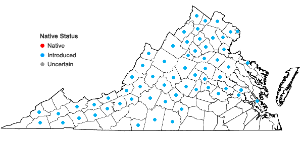 Locations ofAlliaria petiolata (Bieberstein) Cavara & Grande in Virginia