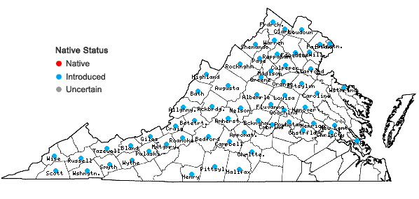 Locations ofAlliaria petiolata (Bieberstein) Cavara & Grande in Virginia