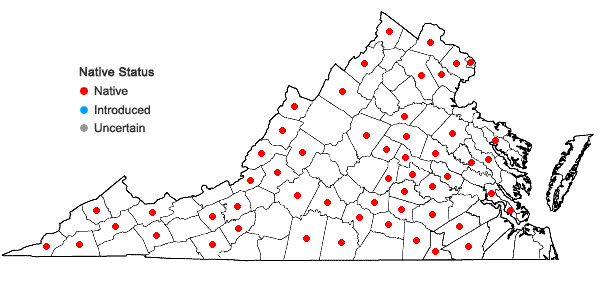 Locations ofAllium canadense L. var. canadense in Virginia