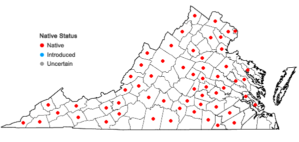 Locations ofAllium canadense L. var. canadense in Virginia