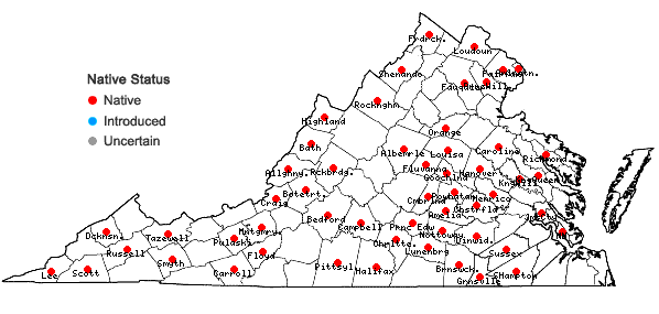 Locations ofAllium canadense L. var. canadense in Virginia