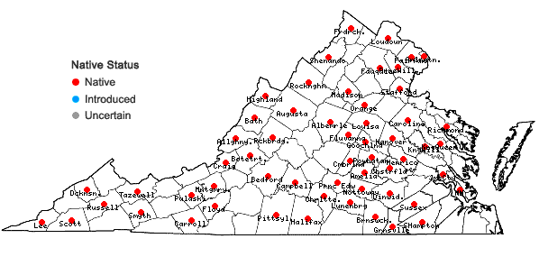 Locations ofAllium canadense L. var. canadense in Virginia