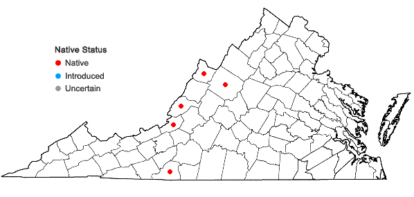 Locations ofAllium oxyphilum Wherry in Virginia