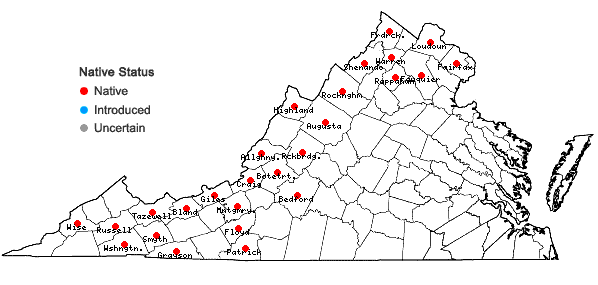 Locations ofAllium tricoccum Ait. in Virginia