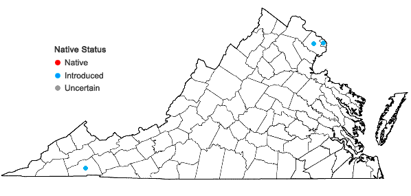 Locations ofAlnus glutinosa (L.) Gaertn. in Virginia