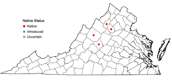 Locations ofAlnus incana (L.) Moench ssp. rugosa (Du Roi) Clausen in Virginia