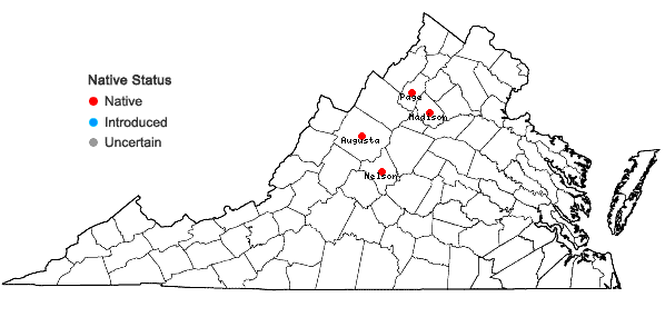 Locations ofAlnus incana (L.) Moench ssp. rugosa (Du Roi) Clausen in Virginia