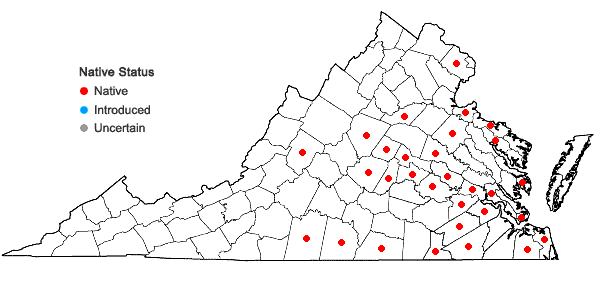 Locations ofAlopecurus carolinianus Walt. in Virginia