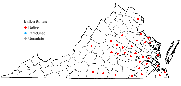 Locations ofAlopecurus carolinianus Walt. in Virginia