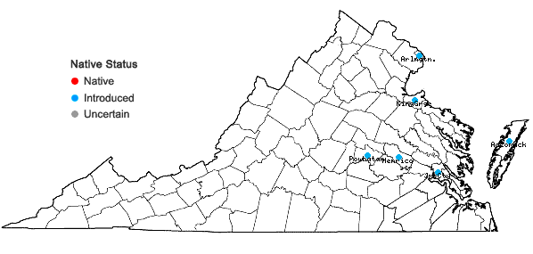 Locations ofAlopecurus myosuroides Huds. in Virginia