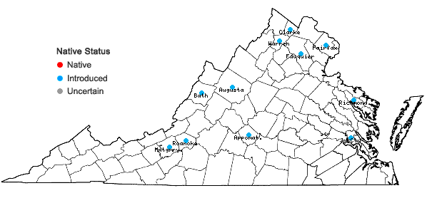 Locations ofAlopecurus pratensis L. in Virginia