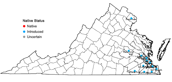 Locations ofAlternanthera philoxeroides (Mart.) Griseb. in Virginia