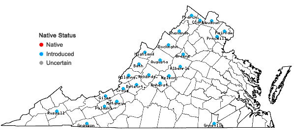 Locations ofAlyssum alyssoides (L.) L. in Virginia