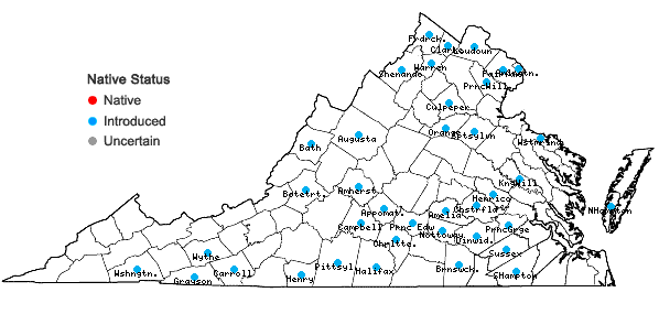 Locations ofAmaranthus albus L. in Virginia