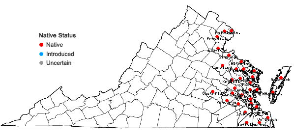 Locations ofAmaranthus cannabinus (L.) J.D. Sauer in Virginia