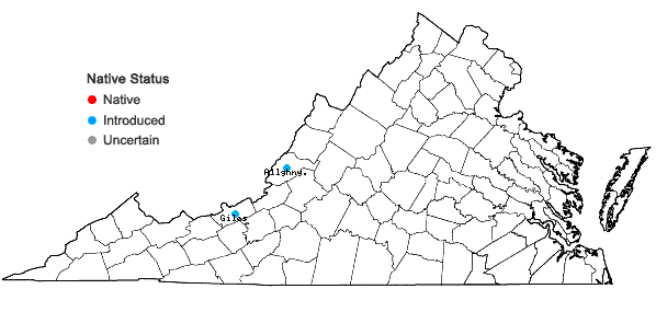 Locations ofAmaranthus cruentus L. in Virginia