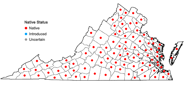 Locations ofAmaranthus hybridus L. in Virginia