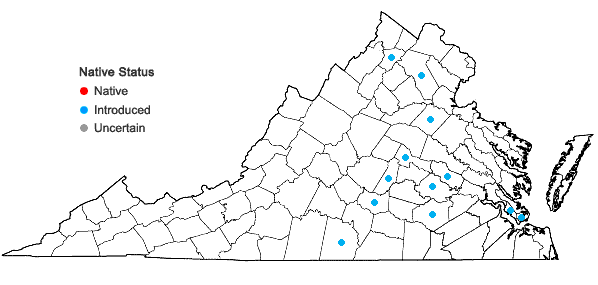 Locations ofAmaranthus palmeri S. Wats. in Virginia