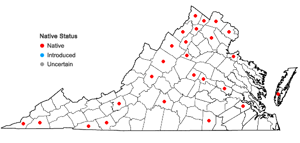 Locations ofAmaranthus retroflexus L. in Virginia