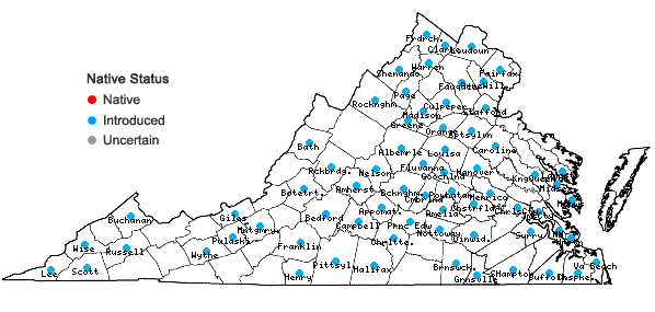 Locations ofAmaranthus spinosus L. in Virginia