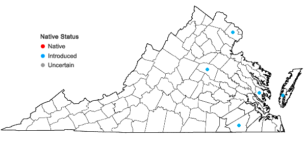 Locations ofAmaranthus viridis L. in Virginia