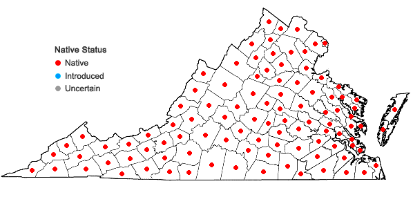 Locations ofAmbrosia artemisiifolia L. in Virginia