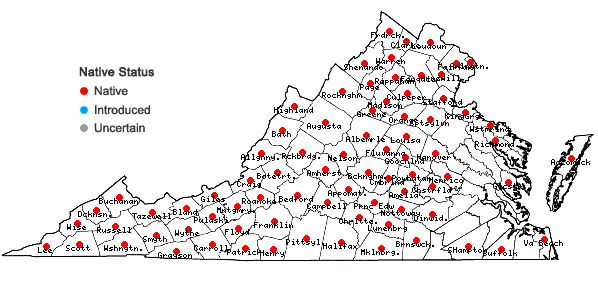 Locations ofAmbrosia trifida L. in Virginia