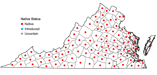 Locations ofAmelanchier arborea (Michx. f.) Fernald in Virginia