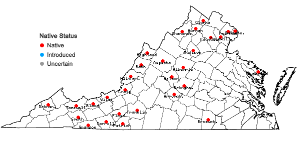 Locations ofAmelanchier laevis Wieg. in Virginia