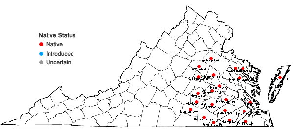 Locations ofAmelanchier obovalis (Michx.) Ashe in Virginia