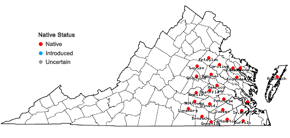 Locations ofAmelanchier obovalis (Michx.) Ashe in Virginia