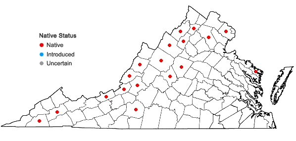 Locations ofAmelanchier sanguinea (Pursh) DC. var. sanguinea in Virginia