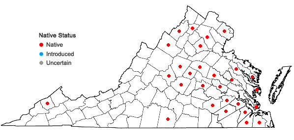 Locations ofAmelanchier spicata (Lam.) K. Koch in Virginia