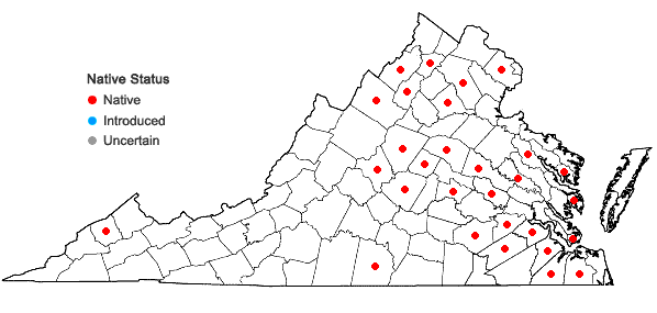 Locations ofAmelanchier spicata (Lam.) K. Koch in Virginia