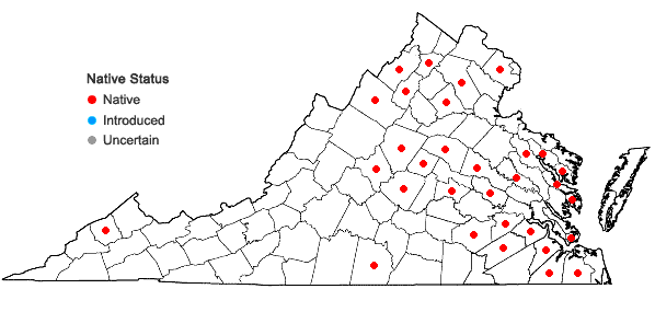 Locations ofAmelanchier spicata (Lam.) K. Koch in Virginia