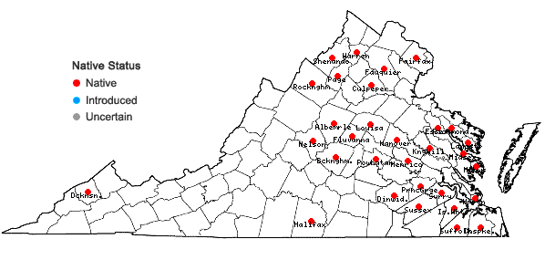 Locations ofAmelanchier spicata (Lam.) K. Koch in Virginia