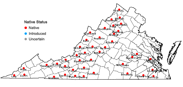 Locations ofAmianthium muscitoxicum (Walt.) Gray in Virginia